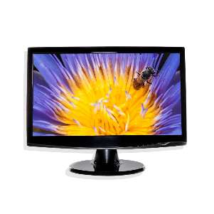 Monitors