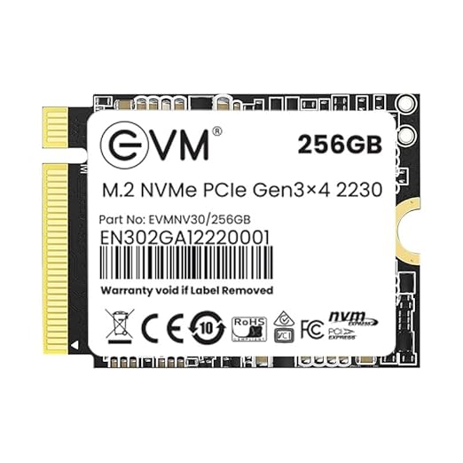 EVM 256GB M.2 NVMe 2230 SSD | PCIe Gen 3x4, 3000MB/s Read, 1600MB/s Write | Internal Solid State Drive for Laptop, PC & Gaming (EVMNV30/256GB)